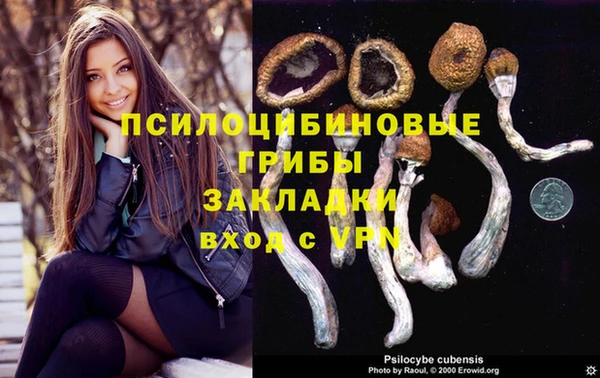 гашиш Аркадак