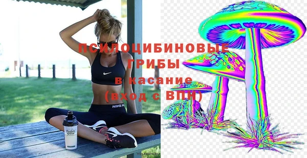 не бодяженный Арсеньев