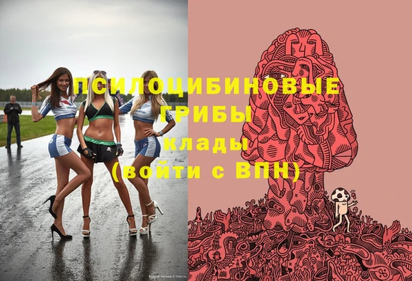 ALPHA-PVP Армянск