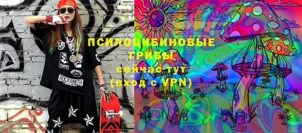 не бодяженный Арсеньев
