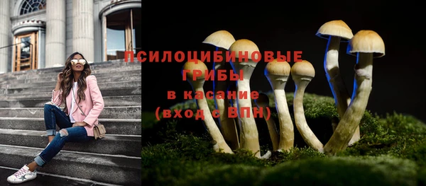 гашиш Аркадак
