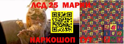 PSILOCYBIN Сланцы