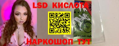 PSILOCYBIN Сланцы