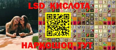 PSILOCYBIN Сланцы
