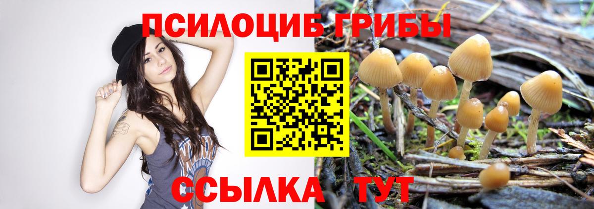 Псилоцибиновые грибы мухоморы Сыктывкар